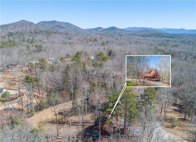 birds eye view of property with a mountain view