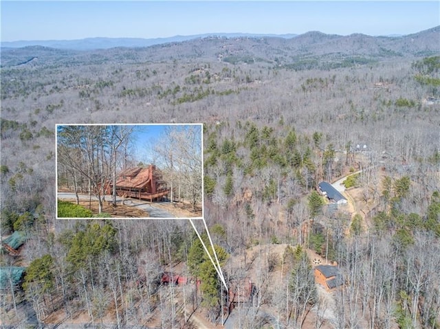 birds eye view of property with a wooded view and a mountain view