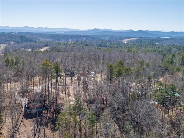 mountain view with a forest view