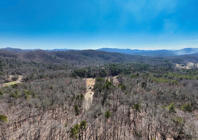 property view of mountains with a forest view