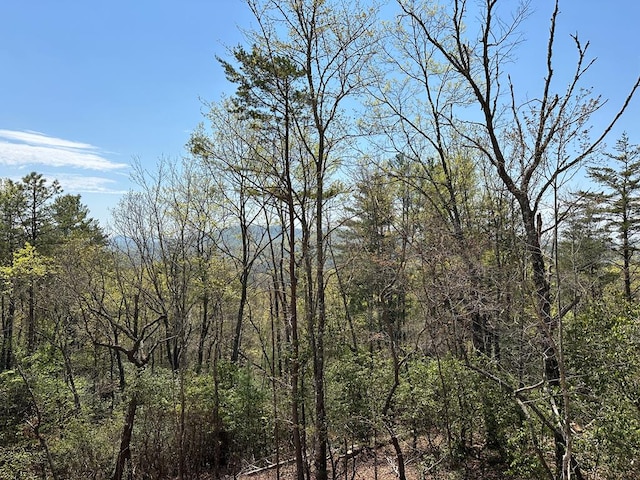 LOT17 Peaks Dr, Hayesville, NC 28904 - view of local wilderness featuring a forest view