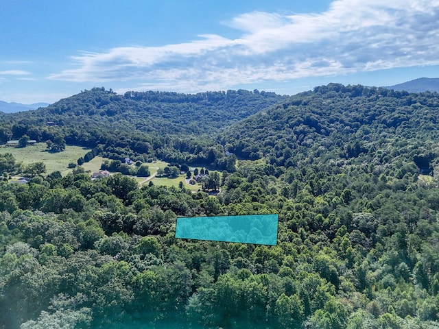 birds eye view of property featuring a mountain view