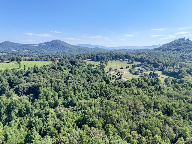 view of mountain feature