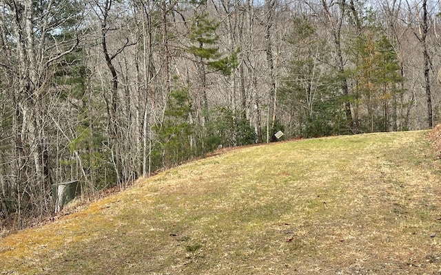 Listing photo 3 for LOT3 Harbour Heights Dr, Hayesville NC 28904