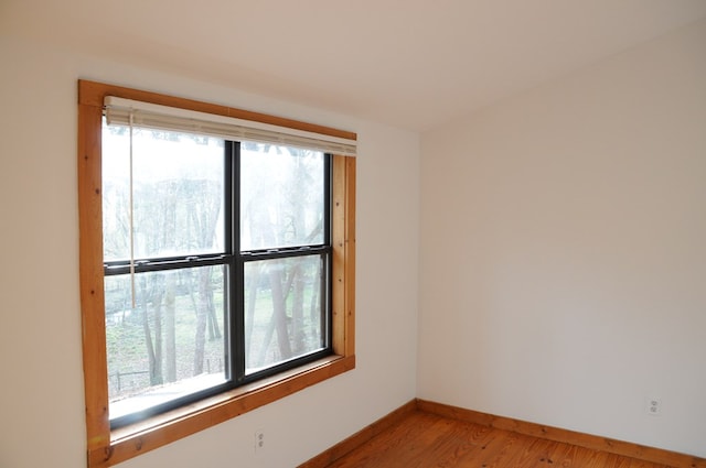 empty room featuring wood-type flooring