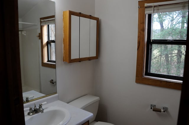 bathroom featuring vanity and toilet