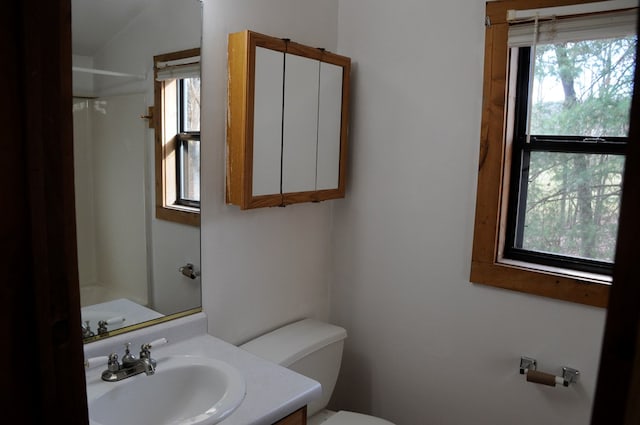 bathroom with plenty of natural light, vanity, and toilet