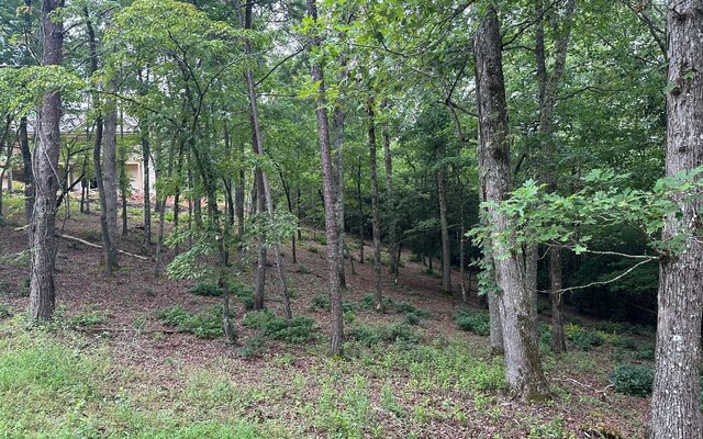 Listing photo 3 for LOT20 Cricket Ln, Brasstown NC 28909