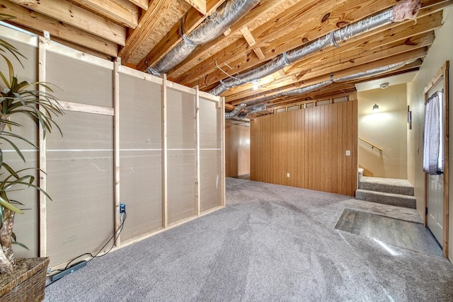 basement featuring carpet