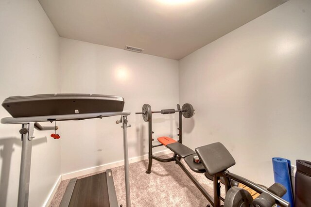 workout area with carpet floors