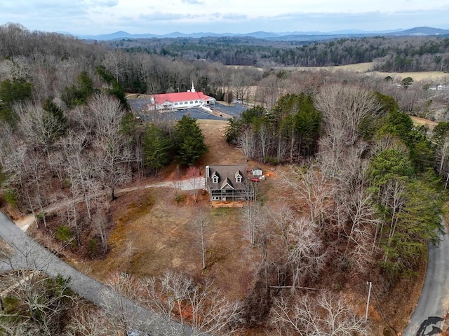 drone / aerial view featuring a mountain view