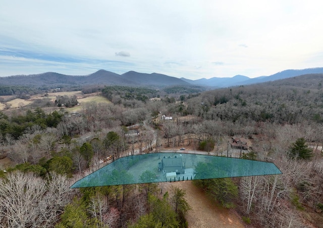 aerial view with a mountain view