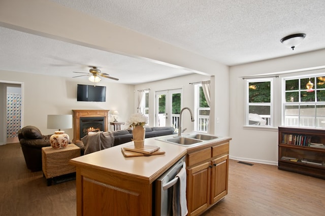 kitchen featuring sink, an island with sink, light wood-type flooring, and plenty of natural light