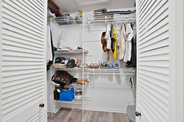 spacious closet with light hardwood / wood-style flooring