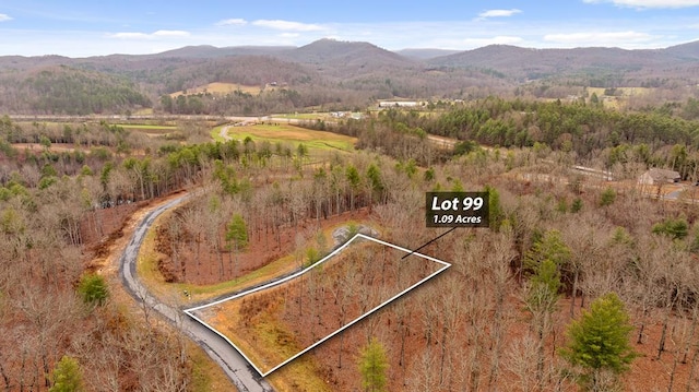 LOT99 S Wind Ct, Morganton GA, 30560 land for sale