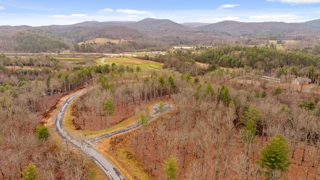 Listing photo 2 for LOT99 S Wind Ct, Morganton GA 30560