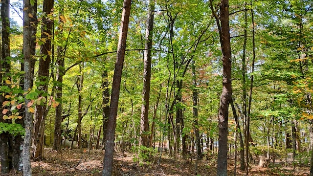 Listing photo 2 for 51ACRE Charlotte Cir, Morganton GA 30560