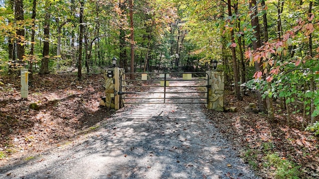 Listing photo 3 for 51ACRE Charlotte Cir, Morganton GA 30560