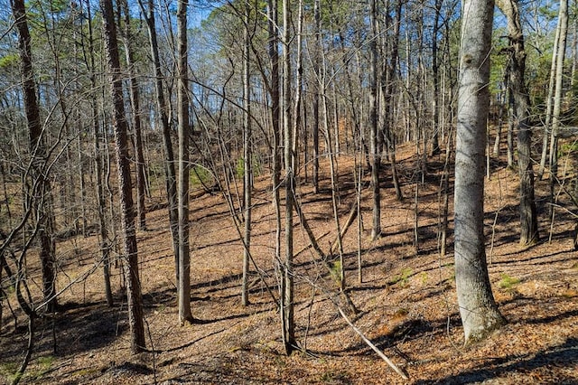 LOT686 Julep Cir, Ellijay GA, 30540 land for sale