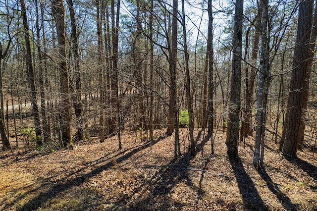 Listing photo 2 for LOT686 Julep Cir, Ellijay GA 30540