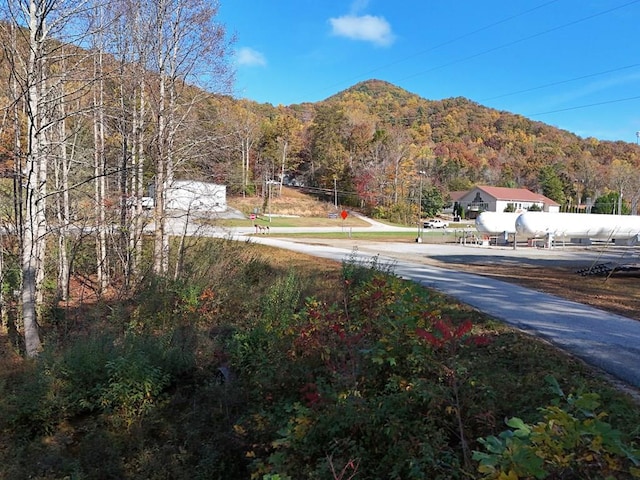 9.77ACR Rosemary Dr, Blairsville GA, 30512 land for sale