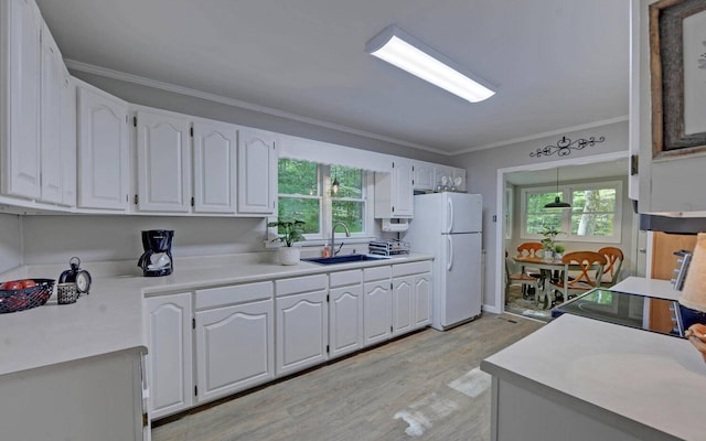 kitchen featuring crown molding, light wood-type flooring, white cabinetry, sink, and white fridge