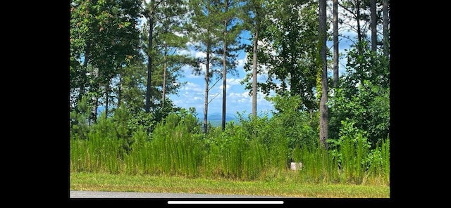 Listing photo 2 for LOT251 Ridge Pointe Way, Blairsville GA 30512