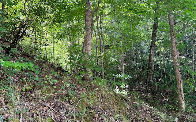 Listing photo 3 for LT77 Fires Creek Cv, Hayesville NC 28904