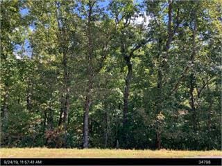 LOT9 Robert Dr, Ellijay GA, 30536 land for sale