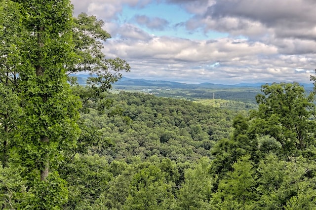 view of mountain feature with a wooded view