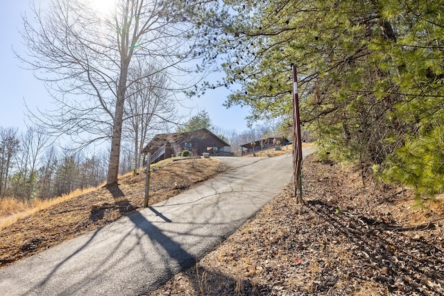 view of road featuring aphalt driveway