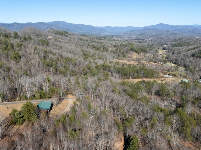 drone / aerial view with a mountain view