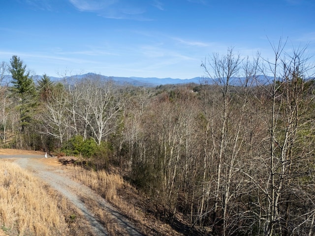 mountain view with a view of trees