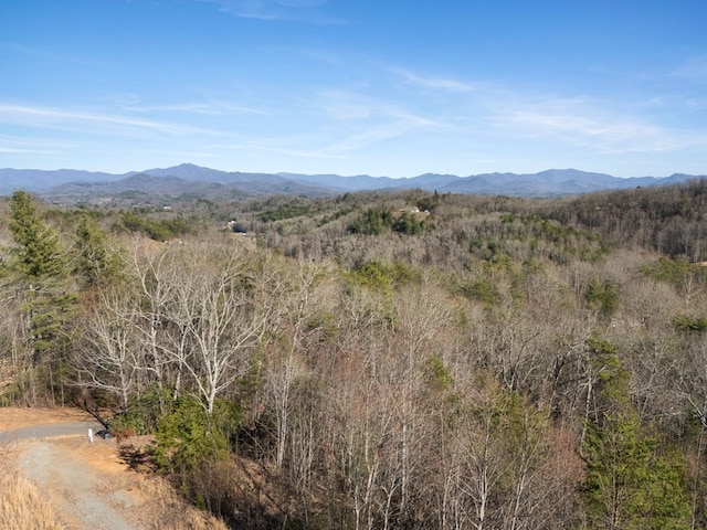 mountain view with a forest view