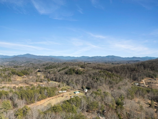 property view of mountains featuring a view of trees