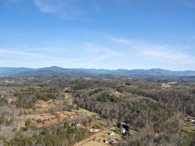 property view of mountains with a view of trees