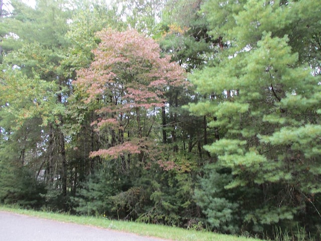 LOT25 Byers Rd, Blairsville GA, 30512 land for sale