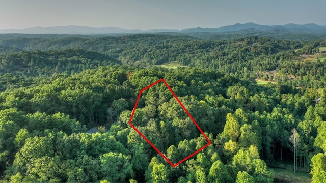 Listing photo 3 for LOT51 River Ridge Rd, Blue Ridge GA 30513