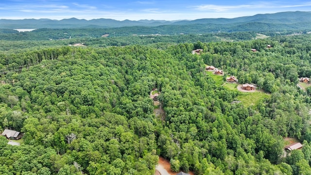 drone / aerial view with a mountain view