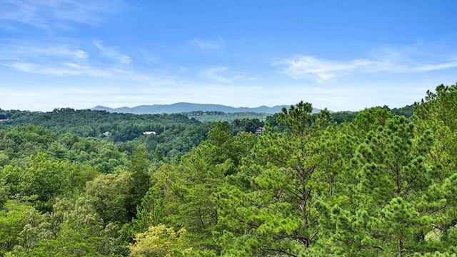 property view of mountains