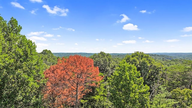 LOT36 Timberwalk Dr, Ellijay GA, 30540 land for sale