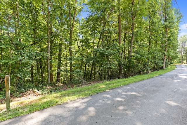 Listing photo 3 for LOT36 Timberwalk Dr, Ellijay GA 30540