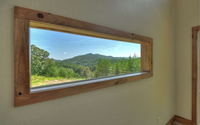 details featuring a mountain view and a textured ceiling