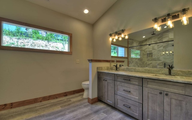 bathroom featuring vanity, toilet, a healthy amount of sunlight, and an enclosed shower