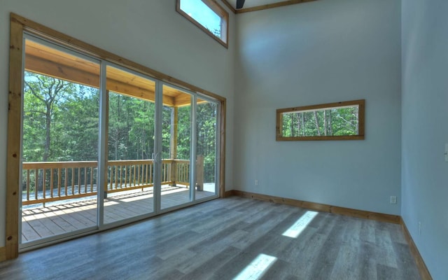 spare room featuring hardwood / wood-style floors and a wealth of natural light