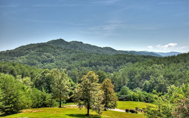 property view of mountains