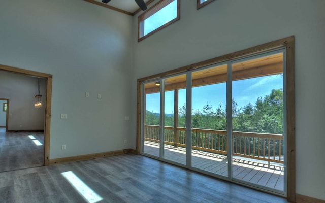 interior space with hardwood / wood-style floors, a high ceiling, ceiling fan, and plenty of natural light