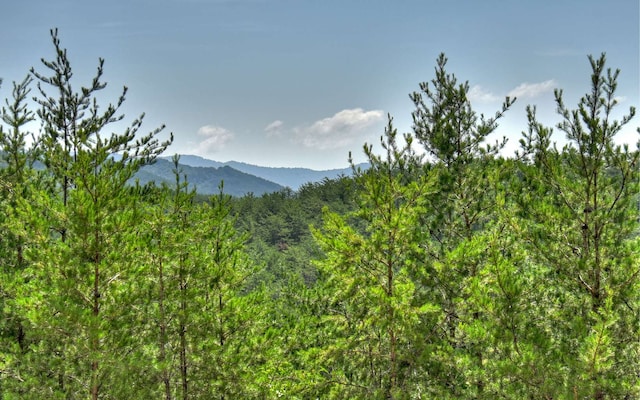 view of mountain feature