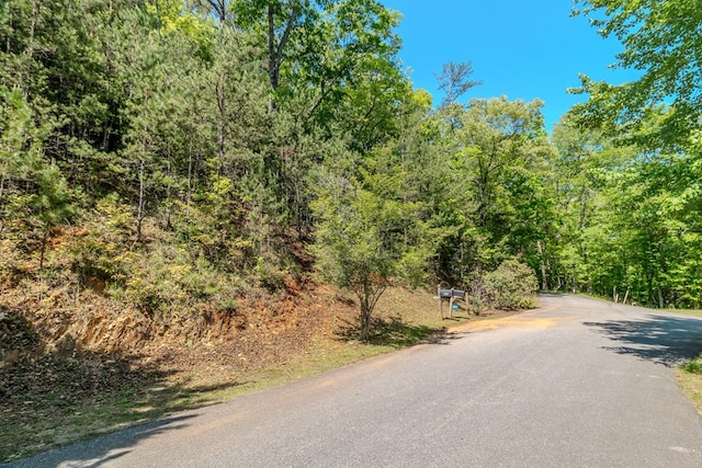 Listing photo 3 for LOT87 Valley Lake Trl, Mineral Bluff GA 30559