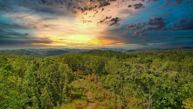 32 Oak Hill Rd, Ellijay, GA 30540
